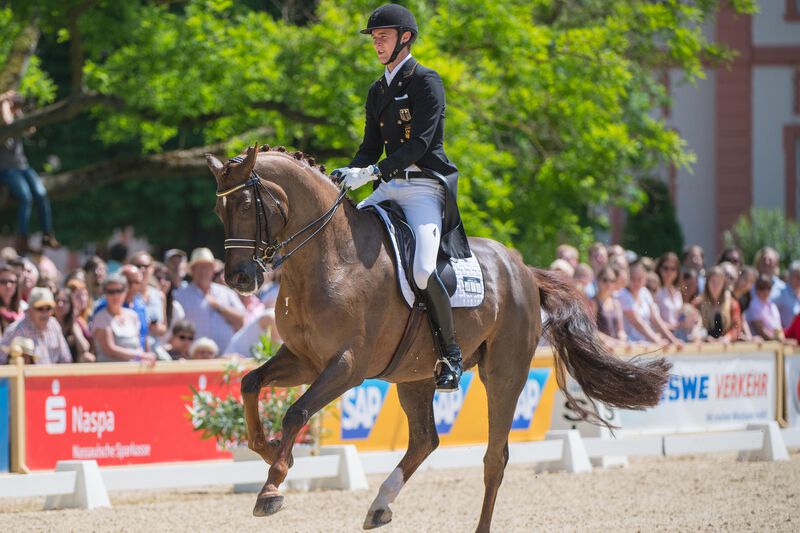 Dressurreiten sönke rothenberger